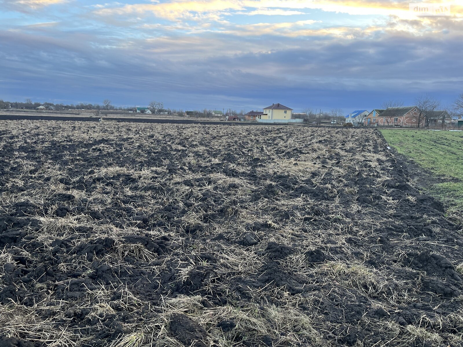 Земельна ділянка сільськогосподарського призначення в Гавришівці, площа 25 соток фото 1