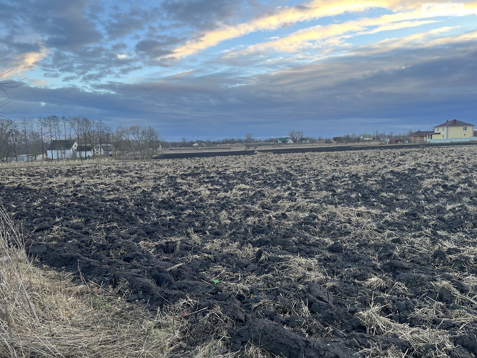 Земельна ділянка сільськогосподарського призначення в Гавришівці, площа 25 соток фото 1