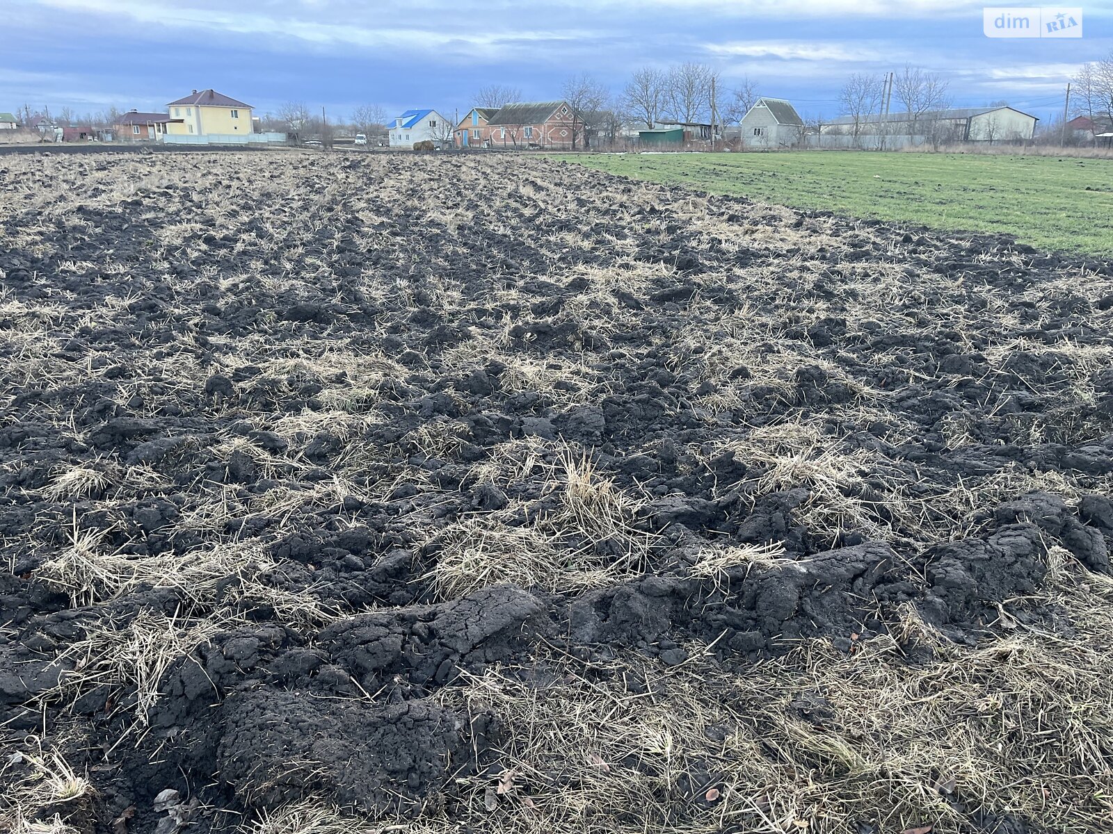 Земельна ділянка сільськогосподарського призначення в Гавришівці, площа 25 соток фото 1