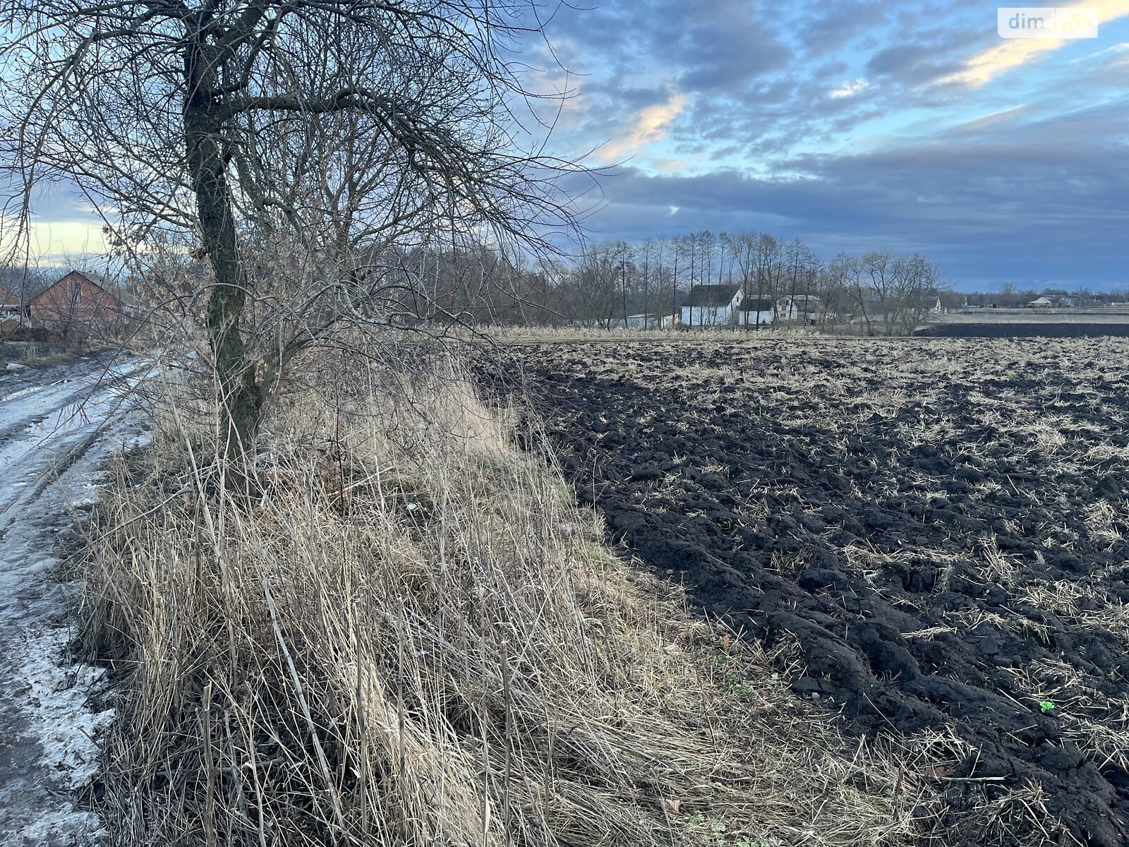 Земельна ділянка сільськогосподарського призначення в Гавришівці, площа 25 соток фото 1