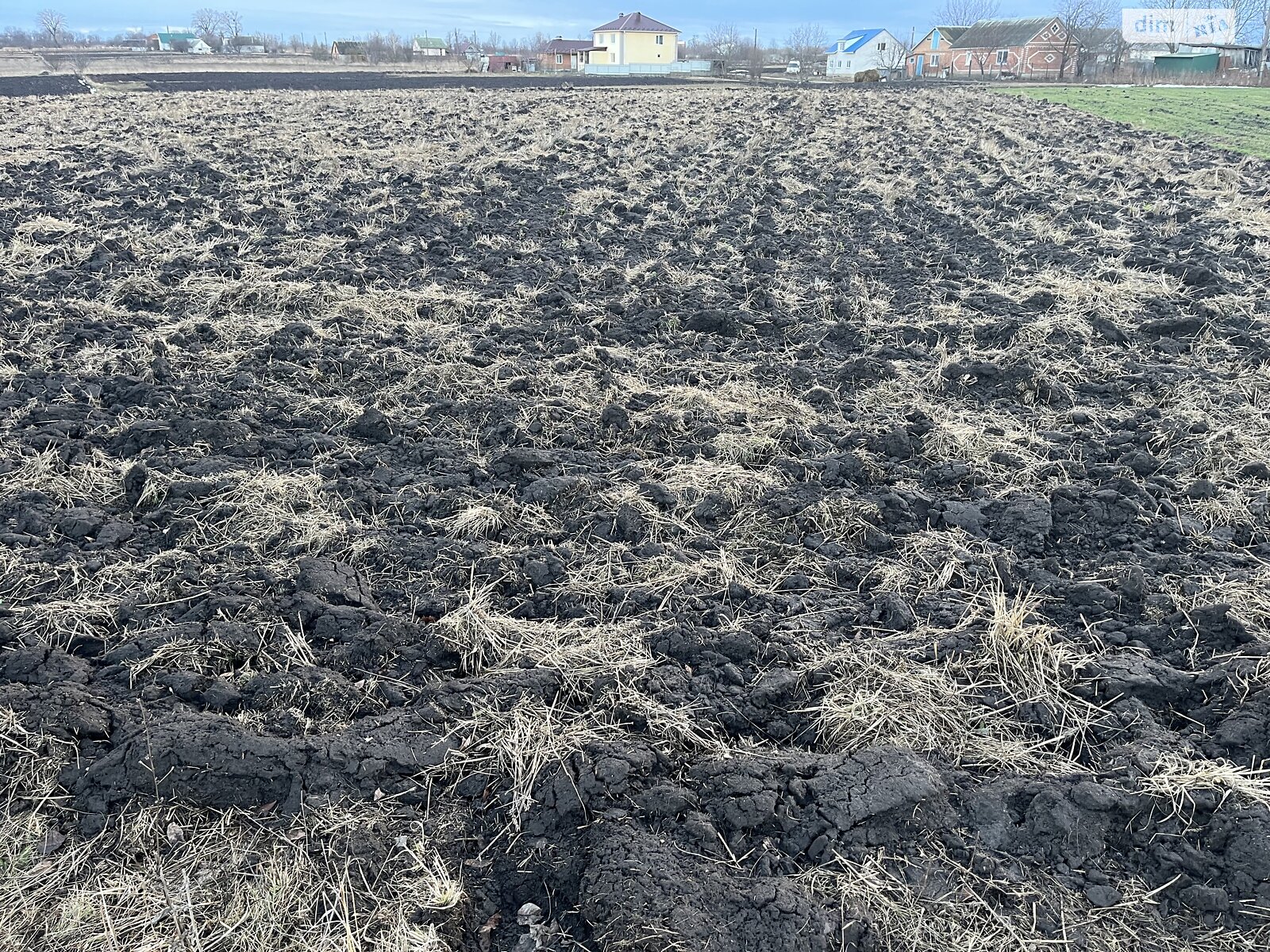 Земельна ділянка сільськогосподарського призначення в Гавришівці, площа 25 соток фото 1