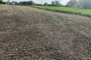 Земельна ділянка сільськогосподарського призначення в Гавришівці, площа 20 соток фото 2