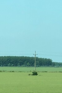 Земля сільськогосподарського призначення в Гавришівці, площа 13 Га фото 2