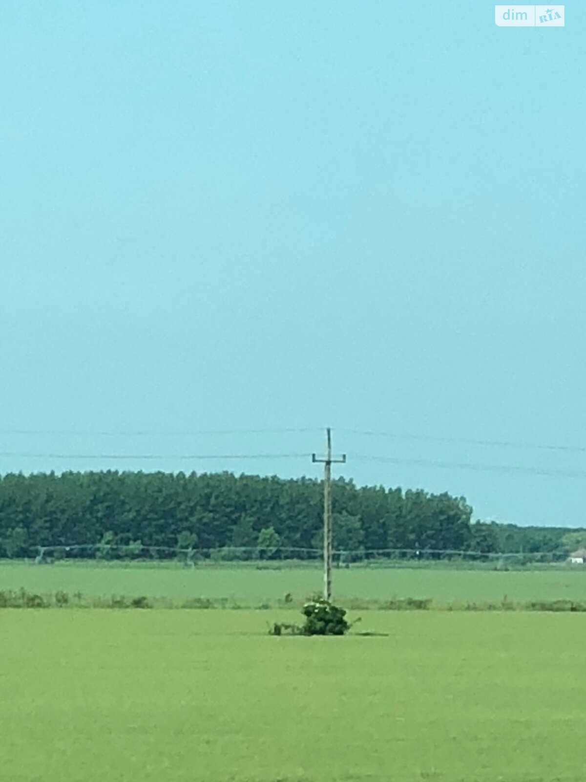 Земля сільськогосподарського призначення в Гавришівці, площа 13 Га фото 1