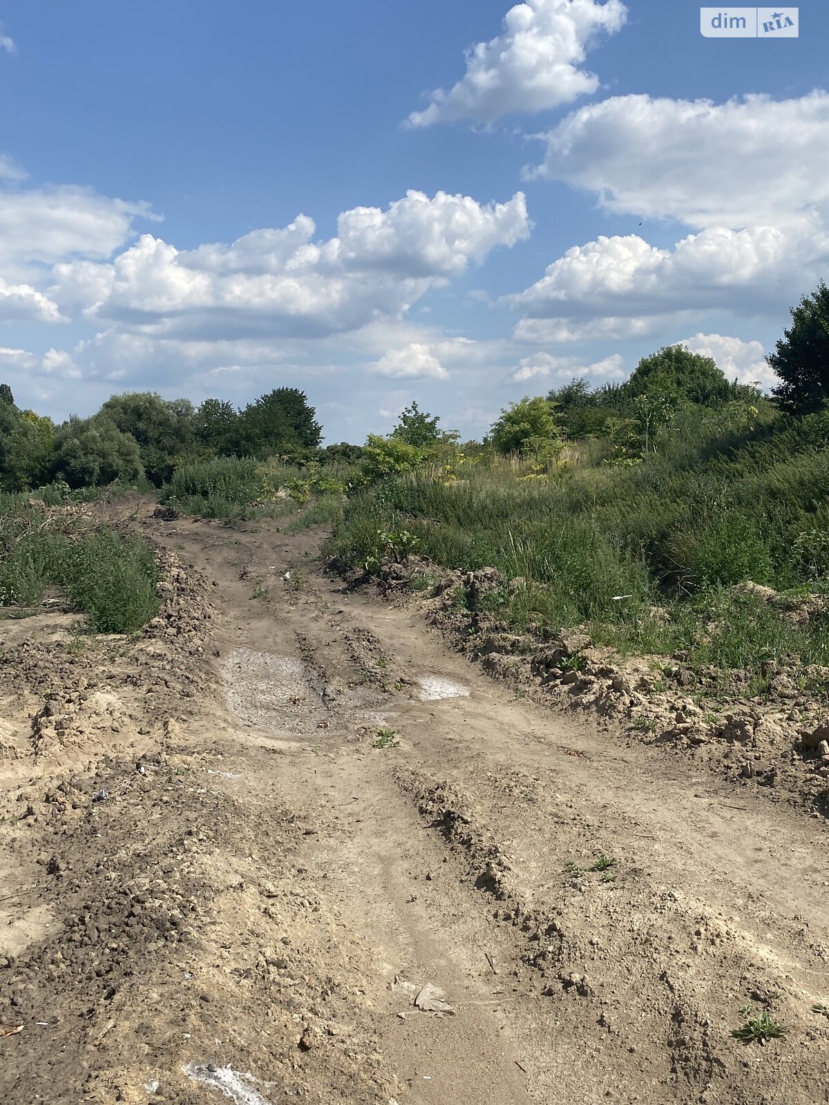 Земельна ділянка сільськогосподарського призначення в Гавришівці, площа 130 соток фото 1