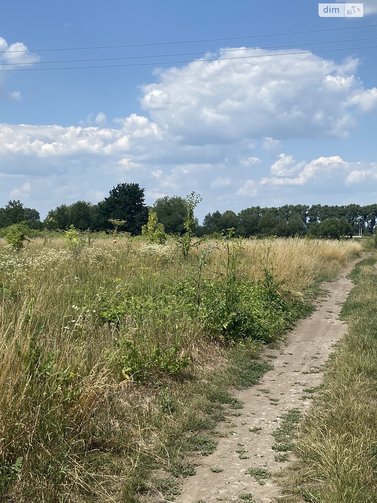 Земельна ділянка сільськогосподарського призначення в Гавришівці, площа 130 соток фото 1