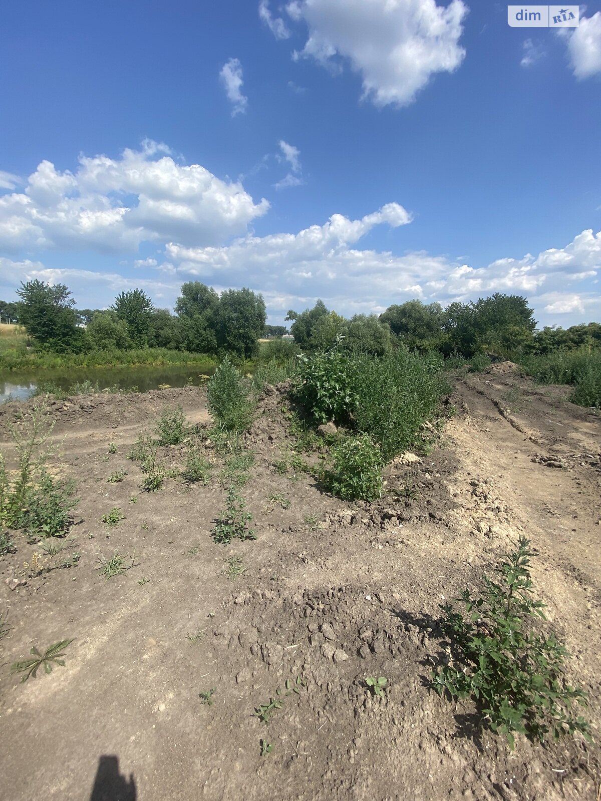 Земельна ділянка сільськогосподарського призначення в Гавришівці, площа 130 соток фото 1