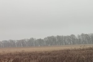 Земельна ділянка сільськогосподарського призначення в Гавришівці, площа 1.32 Га фото 2 Земельна ділянка сільськогосподарського призначення в Гавришівці, площа 1.32 Га фото 2