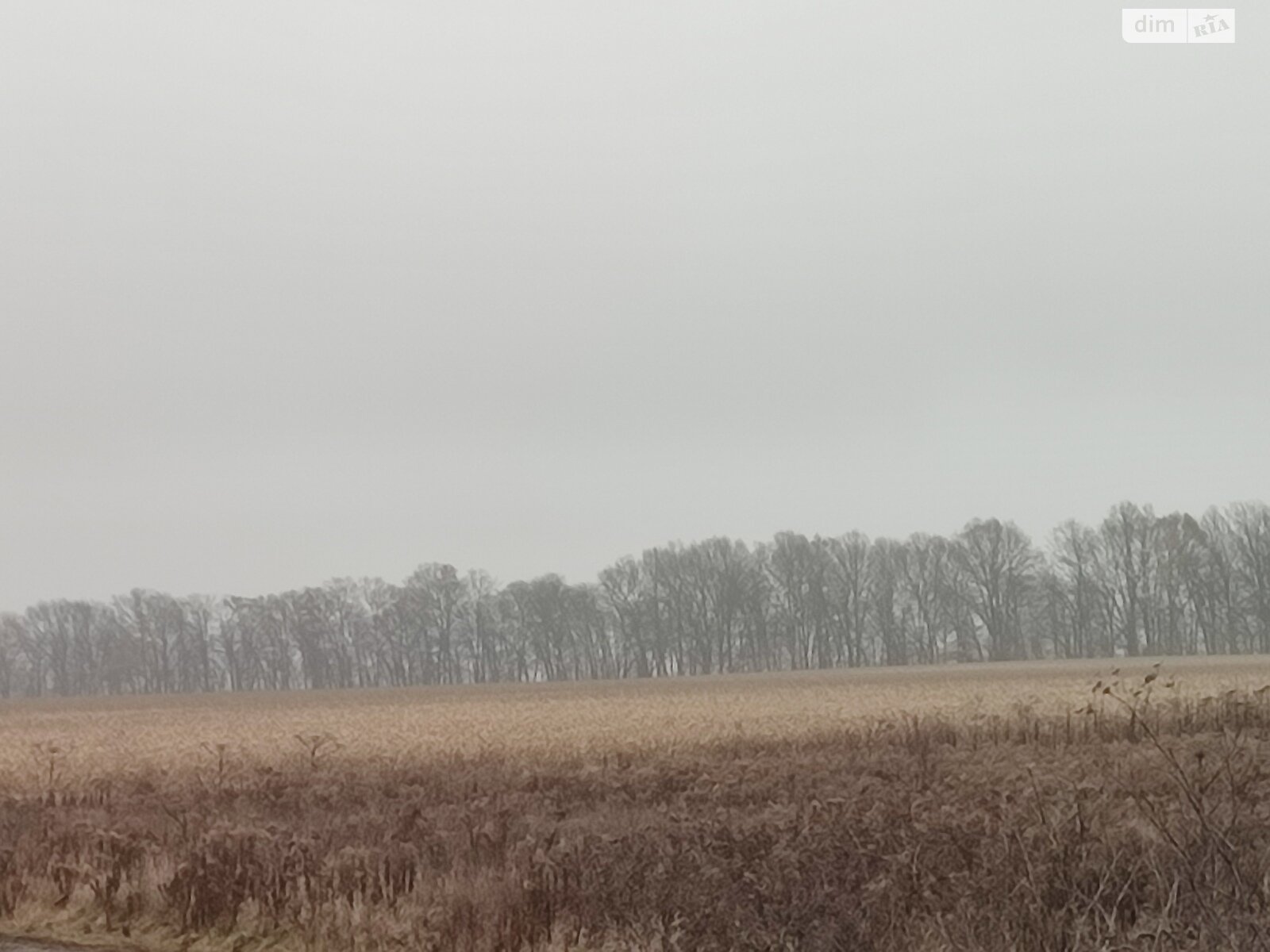 Земельна ділянка сільськогосподарського призначення в Гавришівці, площа 1.32 Га фото 1 Земельна ділянка сільськогосподарського призначення в Гавришівці, площа 1.32 Га фото 1