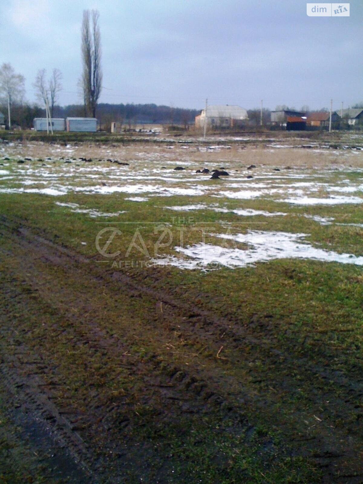 Земельный участок сельскохозяйственного назначения в Гавронщине, площадь 190 соток фото 1