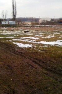 Земельный участок сельскохозяйственного назначения в Гавронщине, площадь 190 соток фото 2