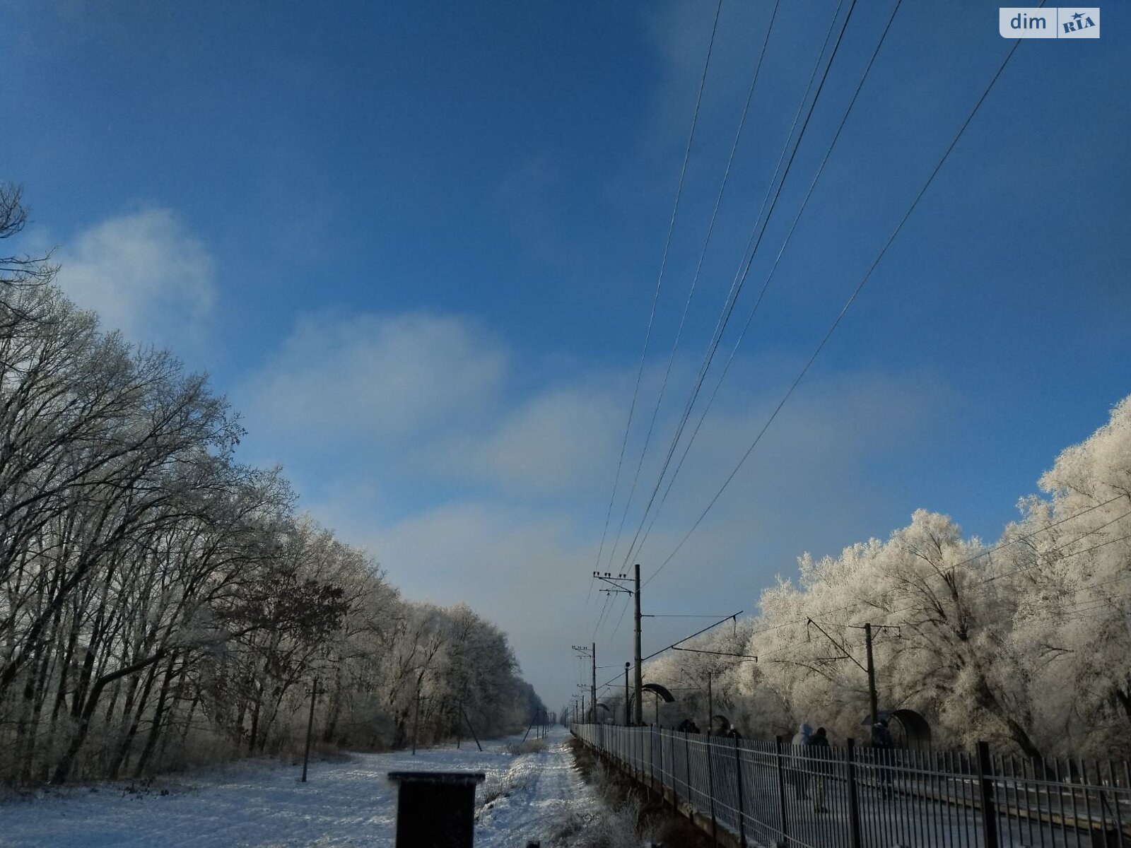 Земельна ділянка сільськогосподарського призначення в Глевасі, площа 5.99 сотки фото 1