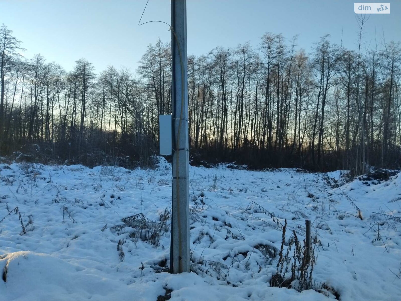 Земельна ділянка сільськогосподарського призначення в Глевасі, площа 5.99 сотки фото 1