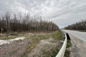 Земельна ділянка сільськогосподарського призначення в Глибочиці, площа 25 соток фото 2
