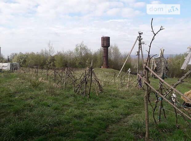 Земельный участок сельскохозяйственного назначения в Глубокой, площадь 103 сотки фото 1 Земельный участок сельскохозяйственного назначения в Глубокой, площадь 103 сотки фото 1