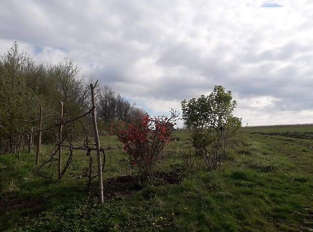 Земельный участок сельскохозяйственного назначения в Глубокой, площадь 103 сотки фото 1 Земельный участок сельскохозяйственного назначения в Глубокой, площадь 103 сотки фото 1