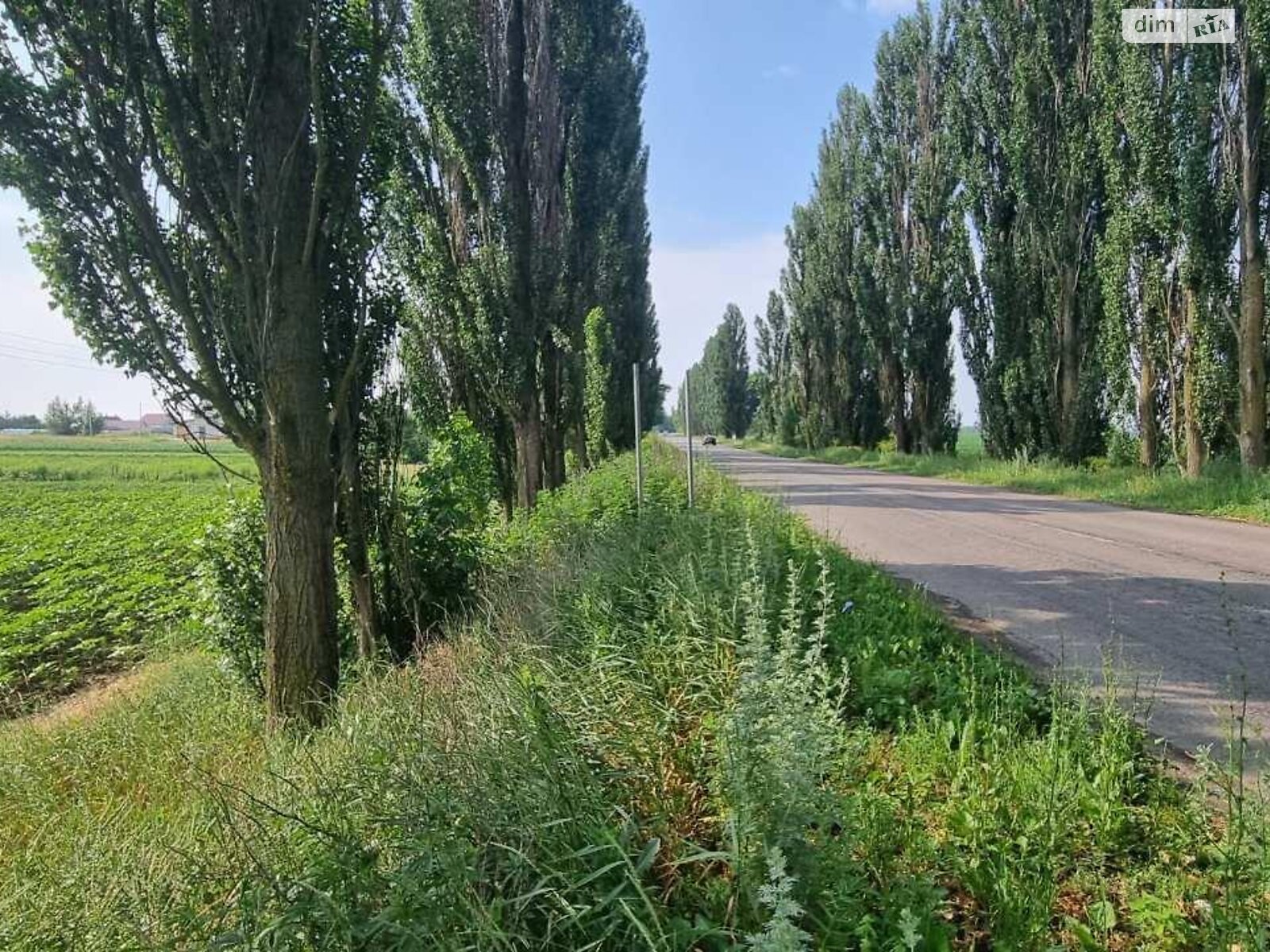 Земельный участок сельскохозяйственного назначения в Глубоком, площадь 200 соток фото 1