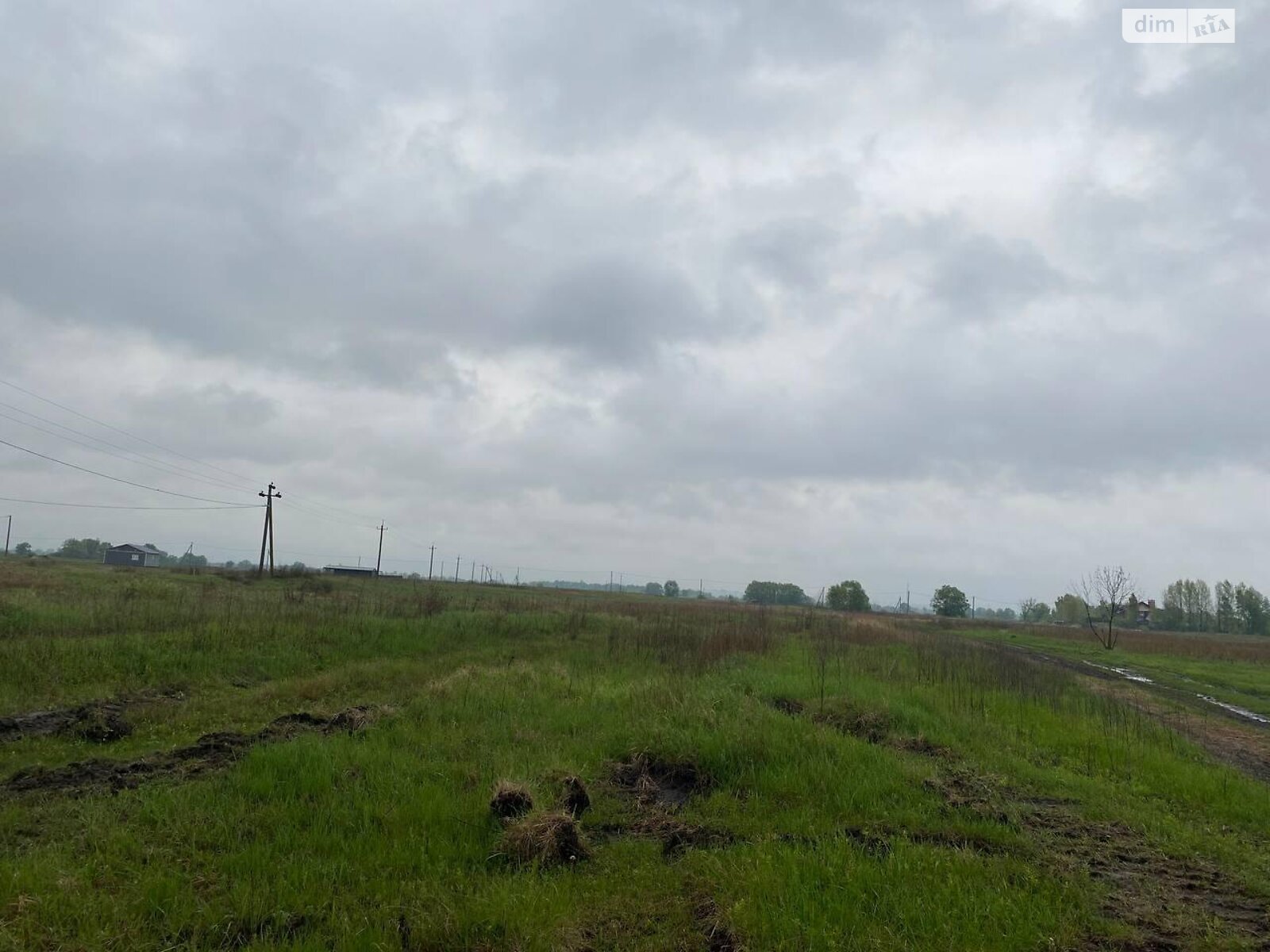 Земельный участок сельскохозяйственного назначения в Гнедине, площадь 4500 соток фото 1