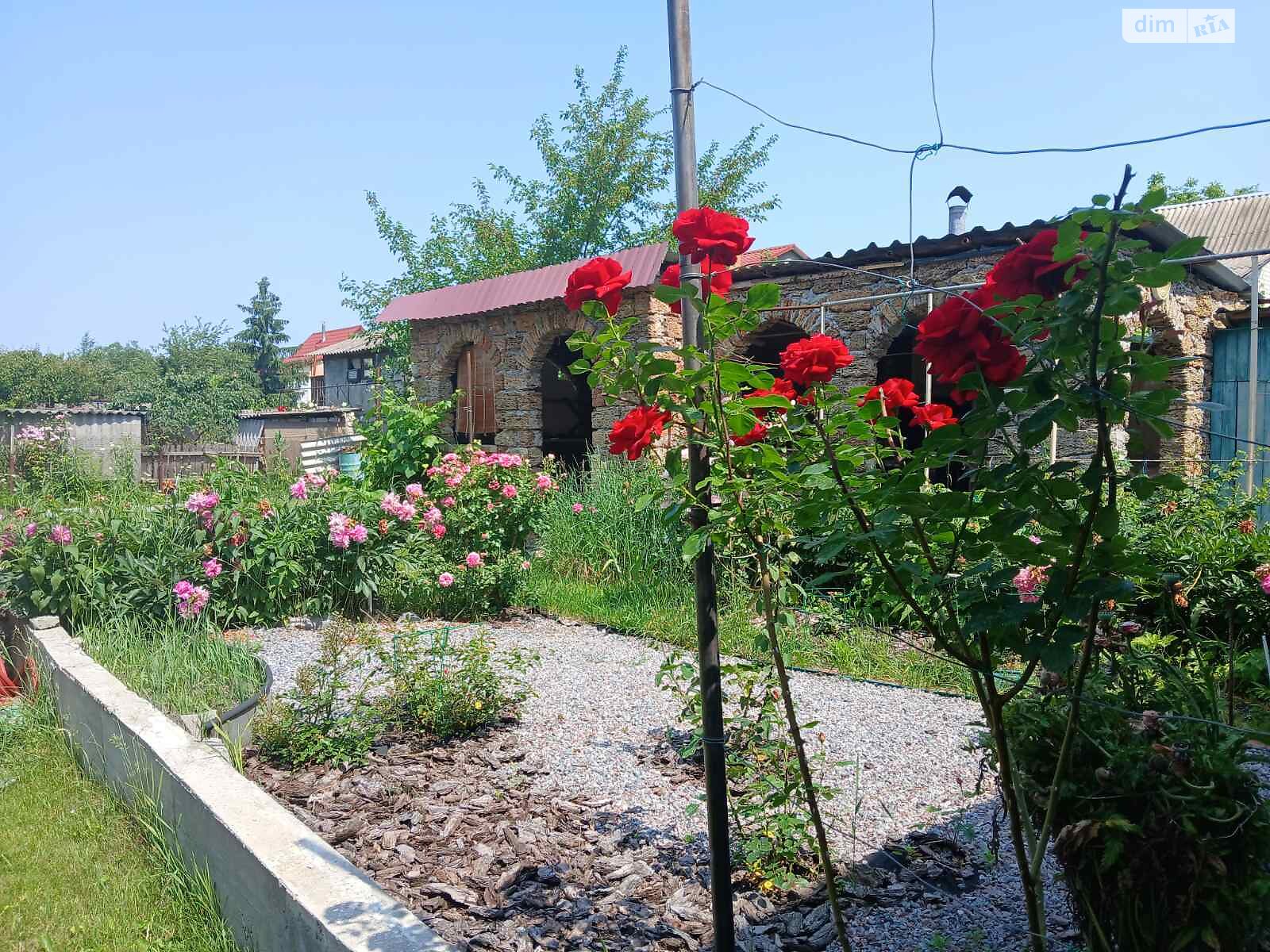 Земельный участок сельскохозяйственного назначения в Гнедине, площадь 5.62 сотки фото 1 Земельный участок сельскохозяйственного назначения в Гнедине, площадь 5.62 сотки фото 1