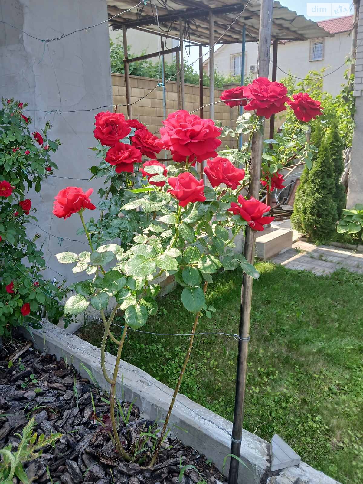 Земельный участок сельскохозяйственного назначения в Гнедине, площадь 5.62 сотки фото 1 Земельный участок сельскохозяйственного назначения в Гнедине, площадь 5.62 сотки фото 1