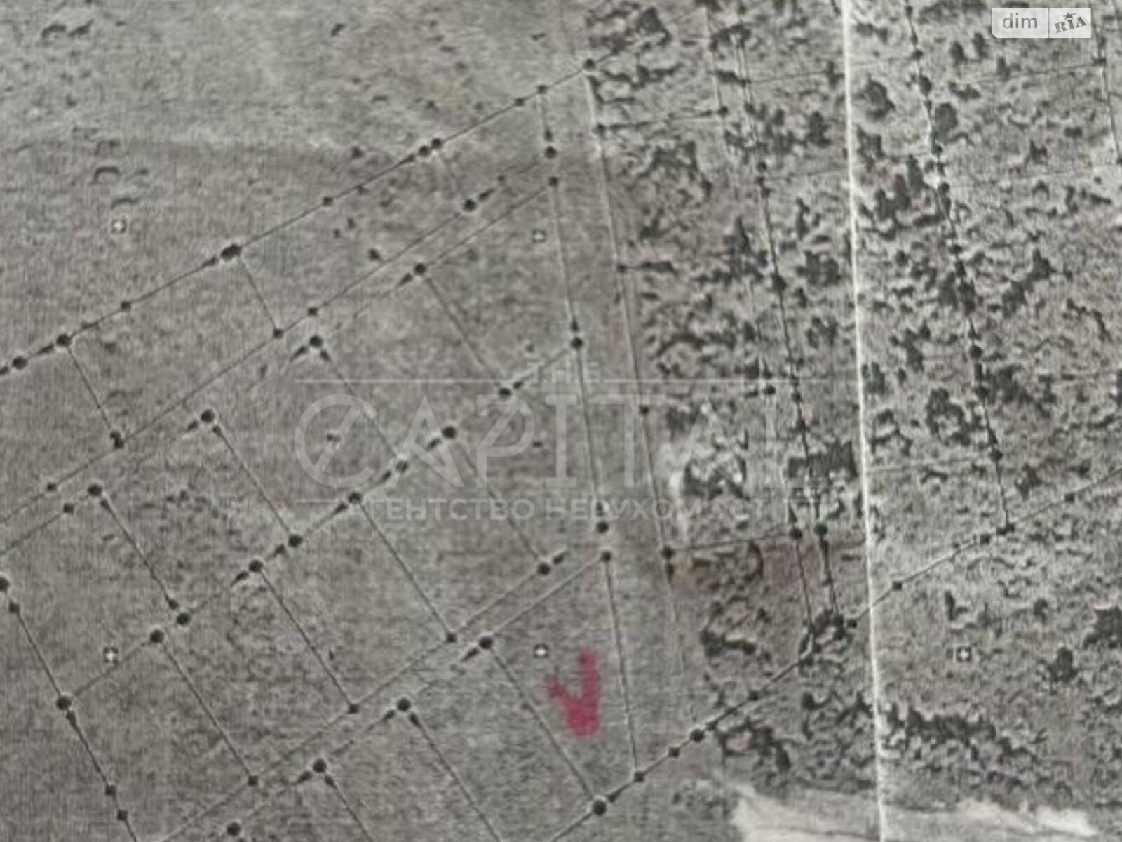 Земельна ділянка сільськогосподарського призначення в Гнідині, площа 10.49 сотки фото 1 Земельна ділянка сільськогосподарського призначення в Гнідині, площа 10.49 сотки фото 1