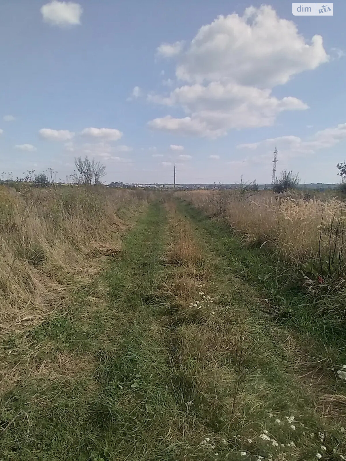 Земельна ділянка сільськогосподарського призначення в Годовиці, площа 10 соток фото 1