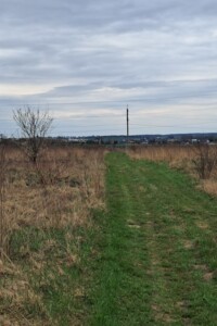 Земельна ділянка сільськогосподарського призначення в Годовиці, площа 9.67 сотки фото 2
