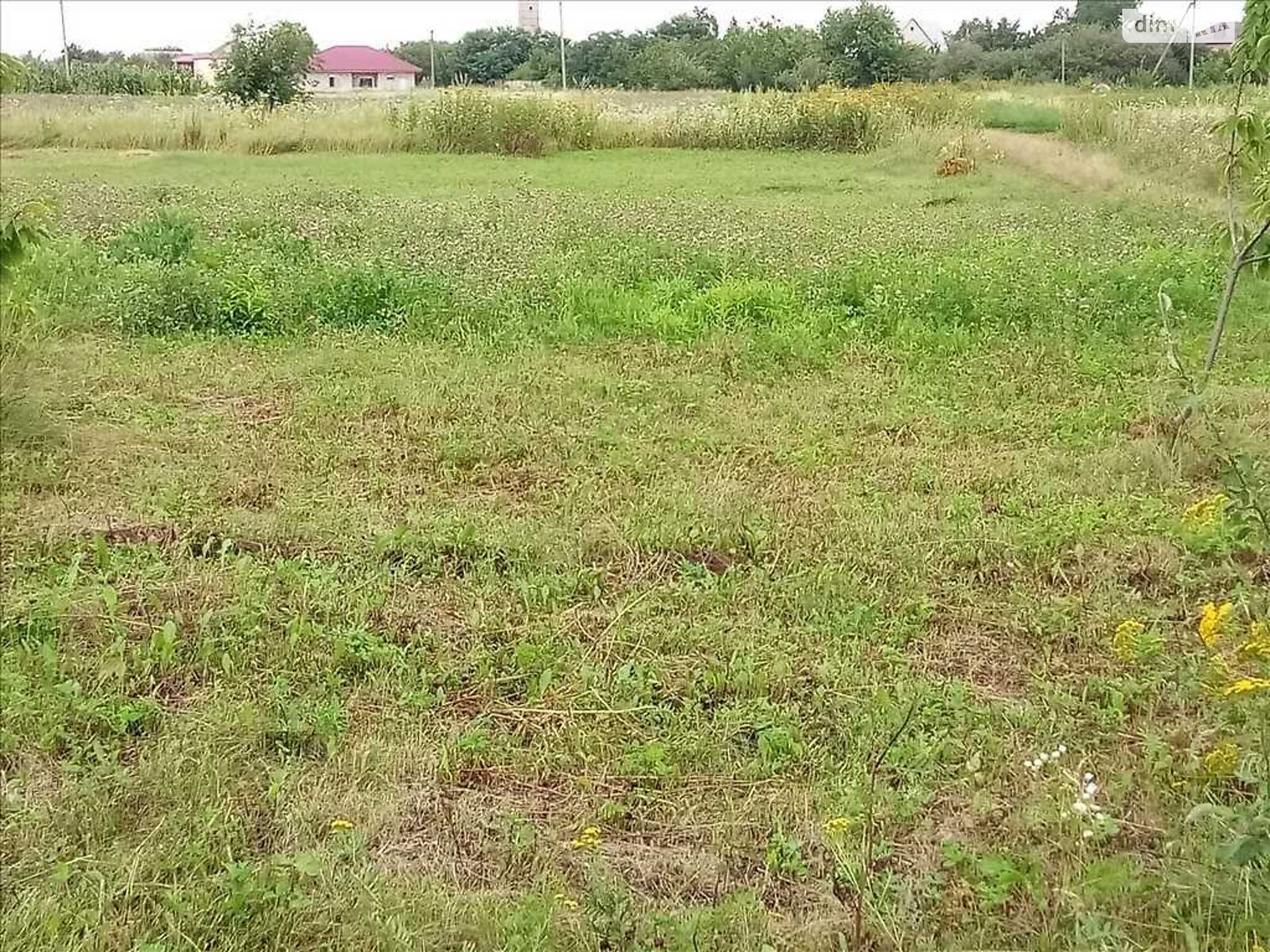 Земельный участок сельскохозяйственного назначения в Гожулах, площадь 12 соток фото 1