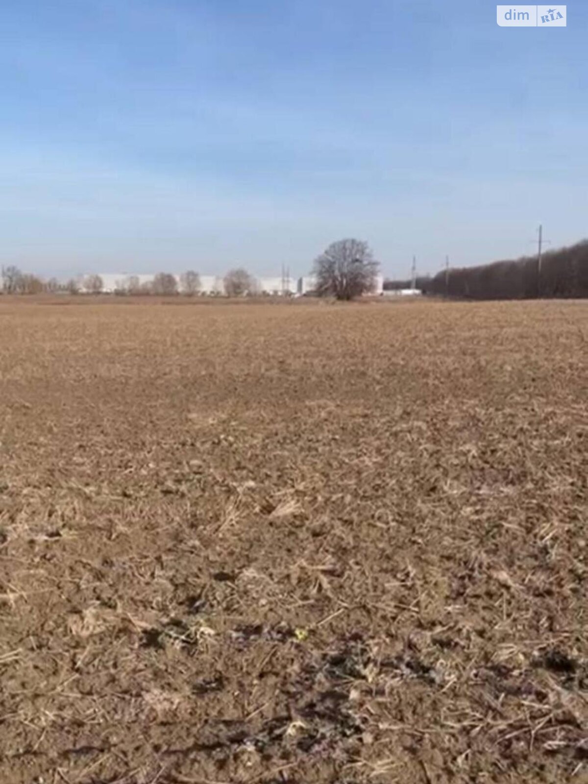 Земельный участок сельскохозяйственного назначения в Горе, площадь 193 сотки фото 1