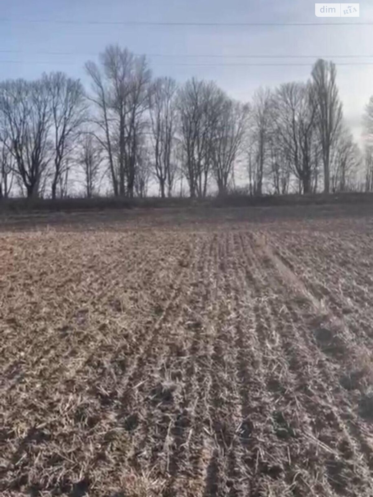 Земельный участок сельскохозяйственного назначения в Горе, площадь 193 сотки фото 1