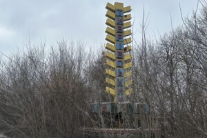 Земельна ділянка сільськогосподарського призначення в Горбанівці, площа 83 сотки фото 2