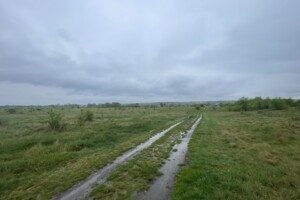 Земельный участок сельскохозяйственного назначения в Горбасове, площадь 2 Га фото 2