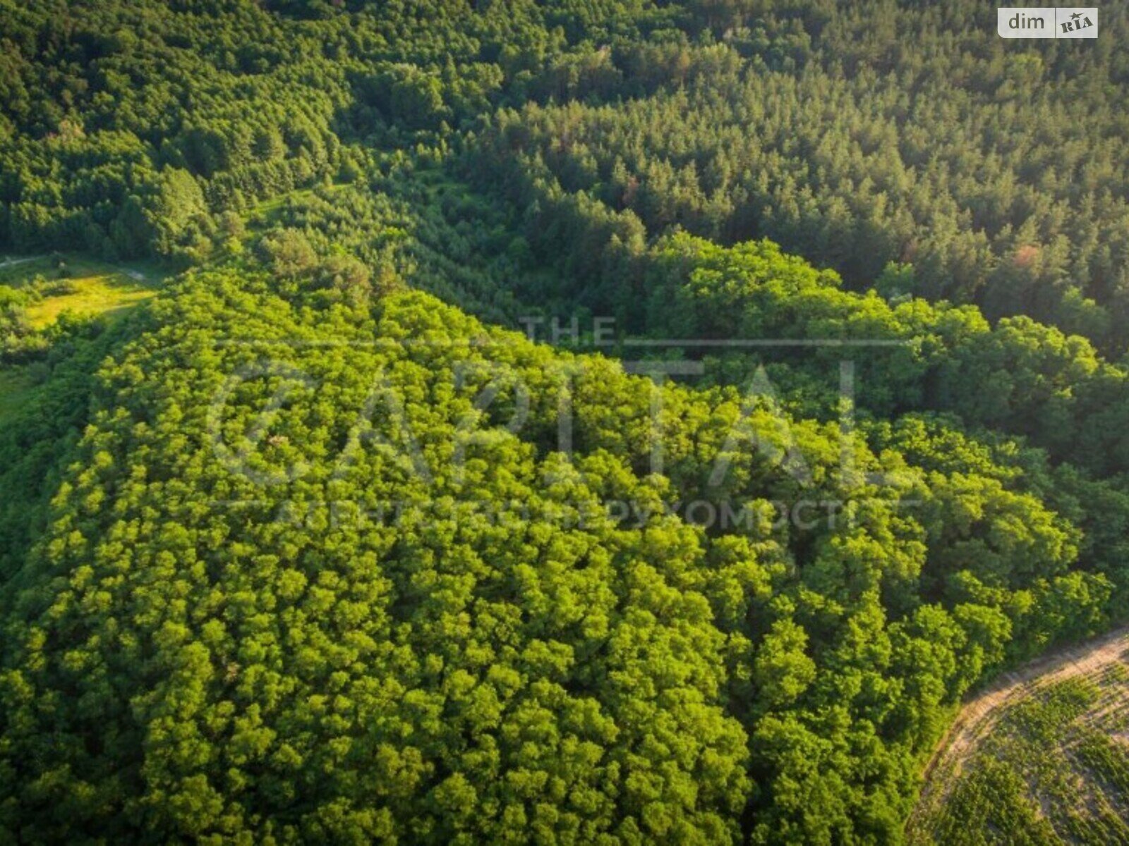 Земельна ділянка сільськогосподарського призначення в Горбовичах, площа 491 сотка фото 1