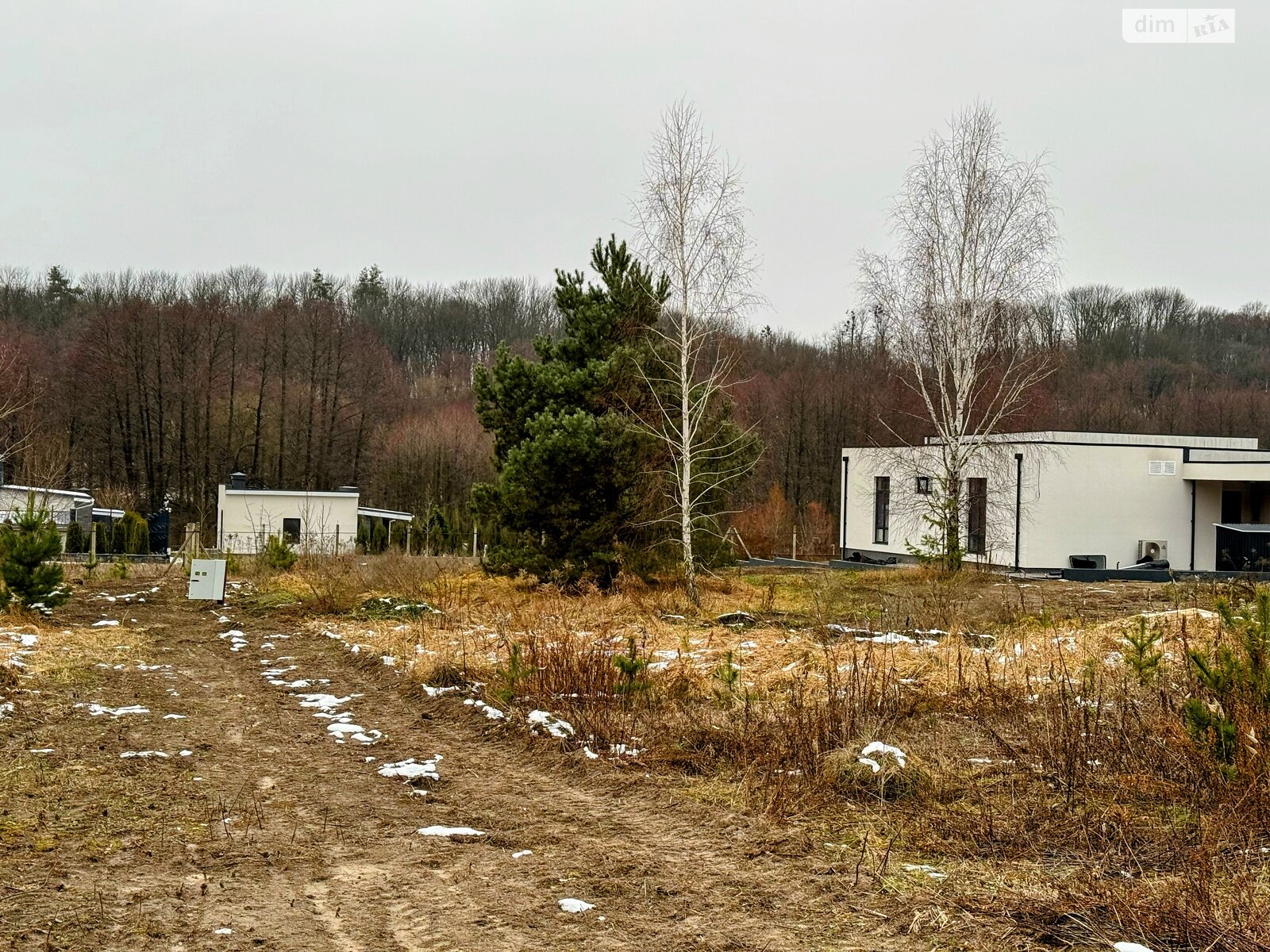 Земельна ділянка сільськогосподарського призначення в Горбовичах, площа 5 соток фото 1