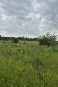 Земельный участок сельскохозяйственного назначения в Горбовичах, площадь 2.6961 Га фото 2 Земельный участок сельскохозяйственного назначения в Горбовичах, площадь 2.6961 Га фото 2