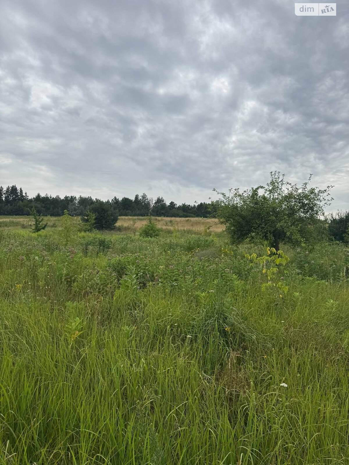 Земельный участок сельскохозяйственного назначения в Горбовичах, площадь 2.6961 Га фото 1 Земельный участок сельскохозяйственного назначения в Горбовичах, площадь 2.6961 Га фото 1