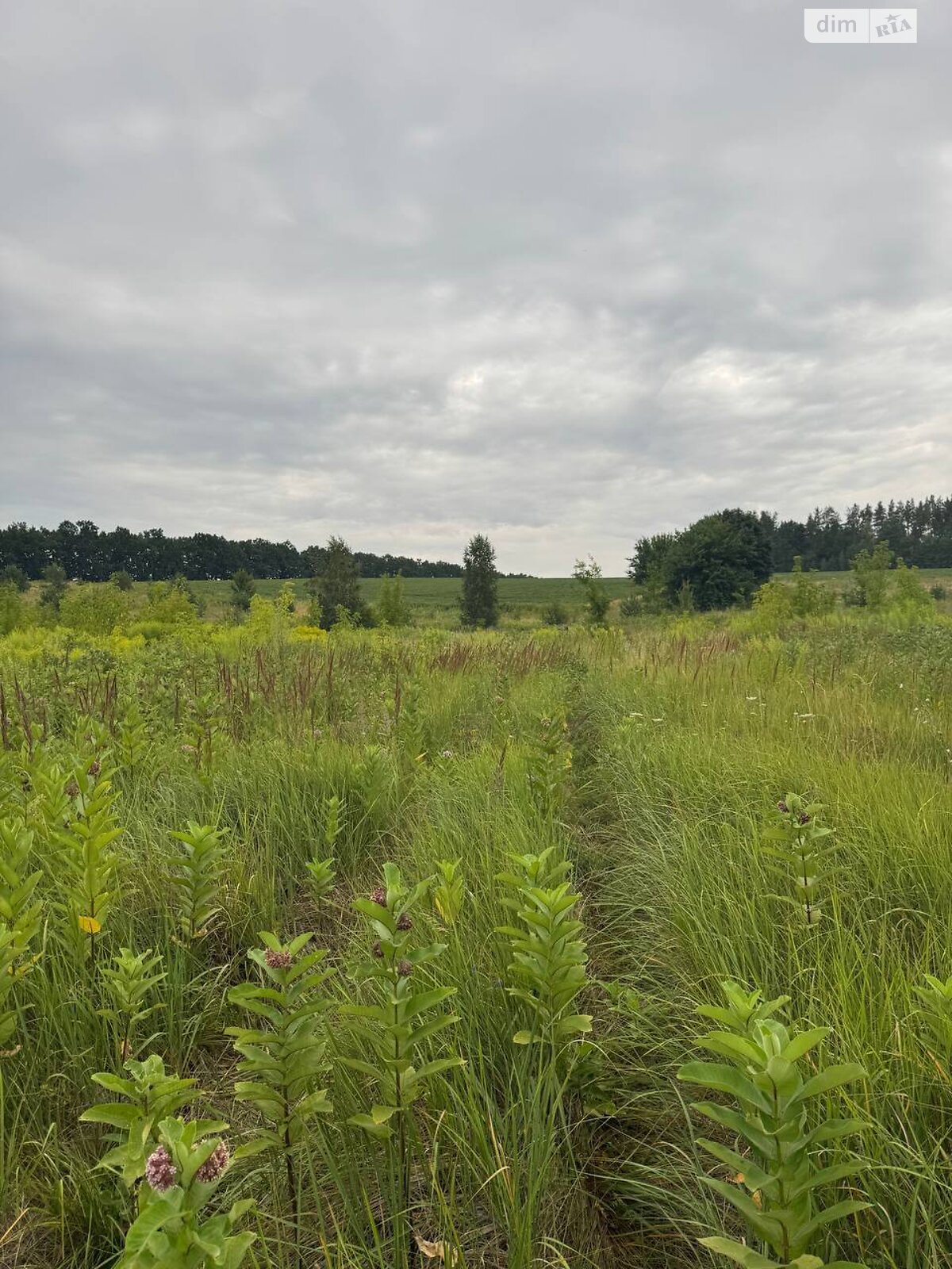 Земельный участок сельскохозяйственного назначения в Горбовичах, площадь 2.6961 Га фото 1 Земельный участок сельскохозяйственного назначения в Горбовичах, площадь 2.6961 Га фото 1