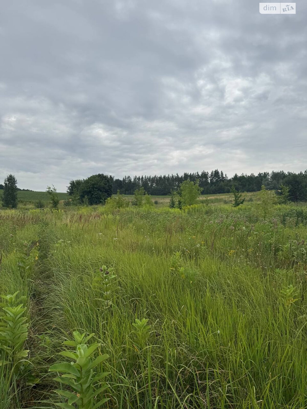 Земельный участок сельскохозяйственного назначения в Горбовичах, площадь 2.6961 Га фото 1 Земельный участок сельскохозяйственного назначения в Горбовичах, площадь 2.6961 Га фото 1