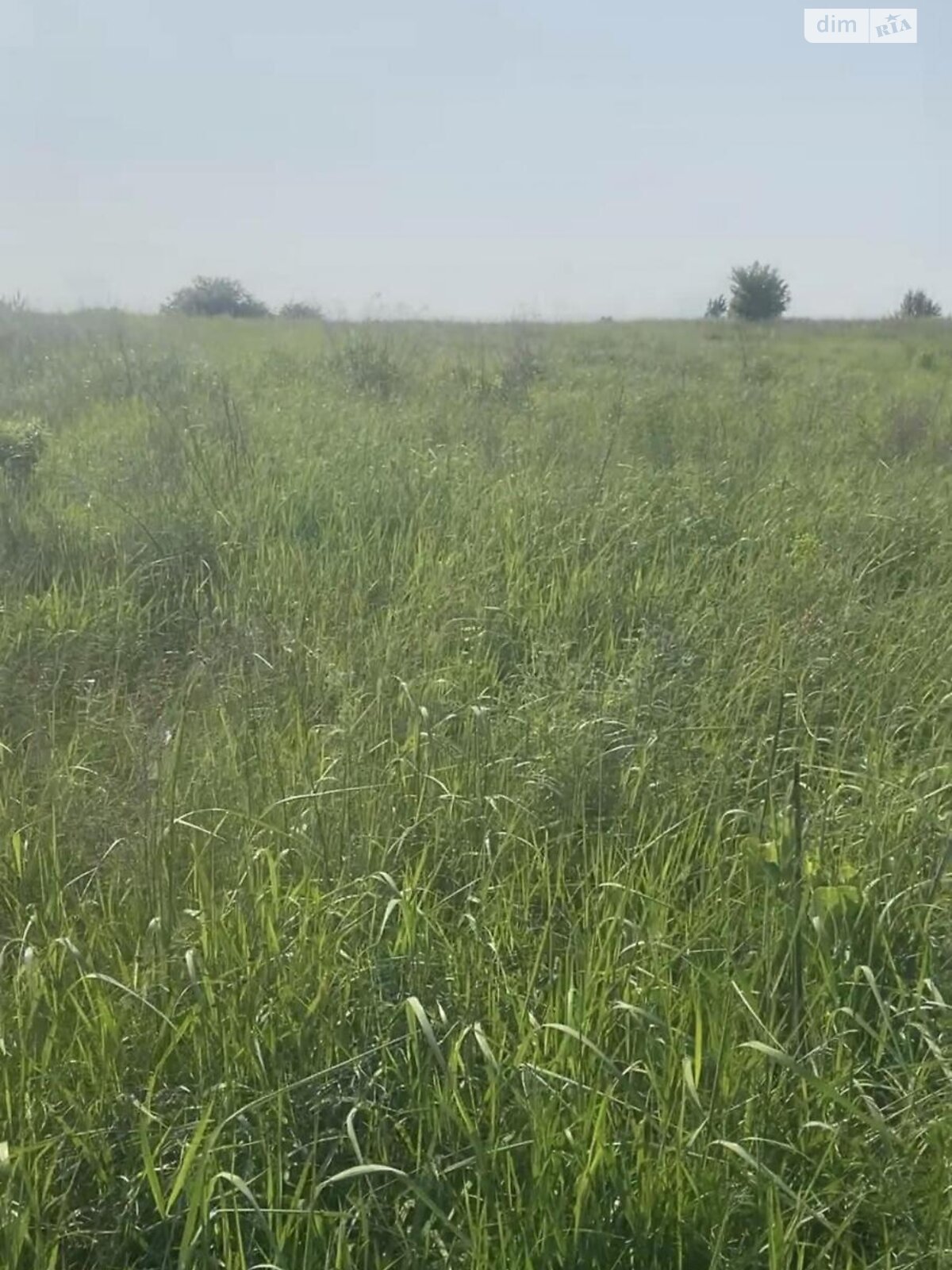 Земельный участок сельскохозяйственного назначения в Гореничах, площадь 14.95 сотки фото 1 Земельный участок сельскохозяйственного назначения в Гореничах, площадь 14.95 сотки фото 1