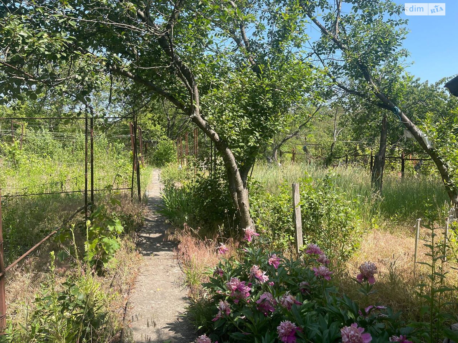 Земельна ділянка сільськогосподарського призначення в Горького, площа 6 соток фото 1