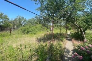 Земельна ділянка сільськогосподарського призначення в Горького, площа 6 соток фото 2