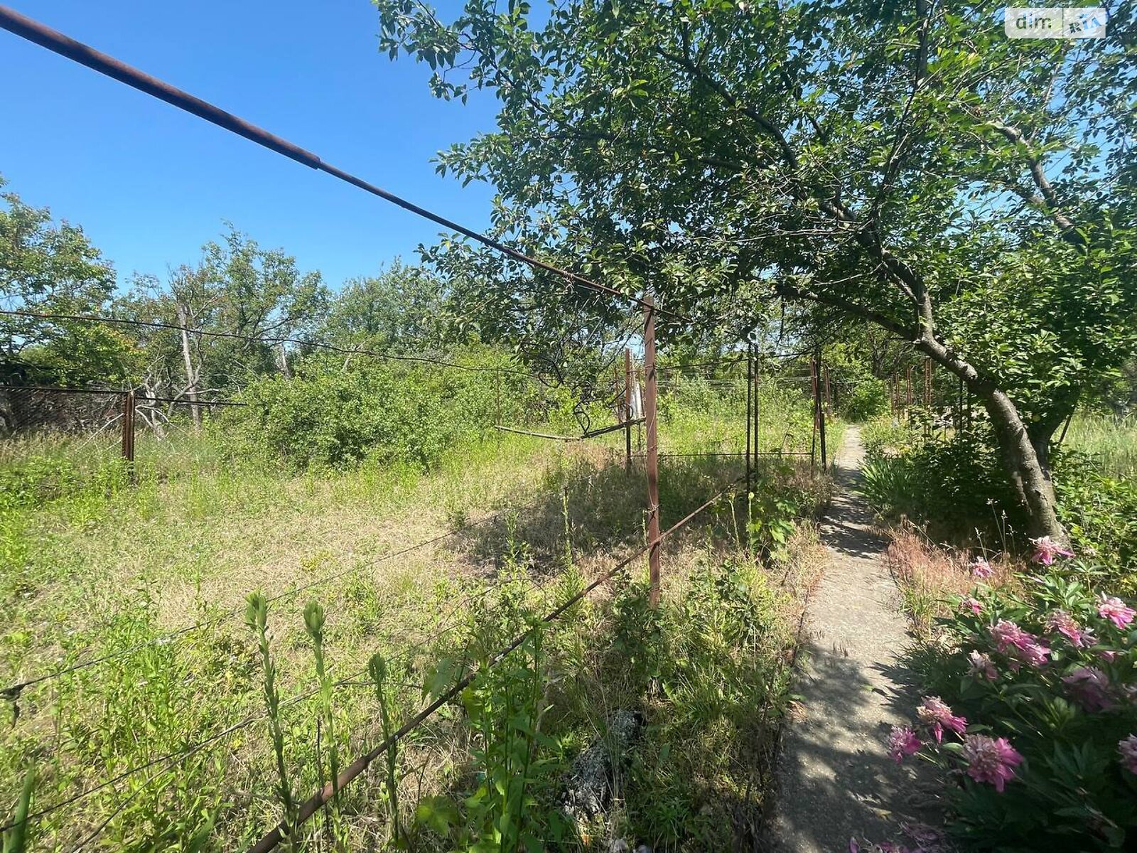 Земельна ділянка сільськогосподарського призначення в Горького, площа 6 соток фото 1