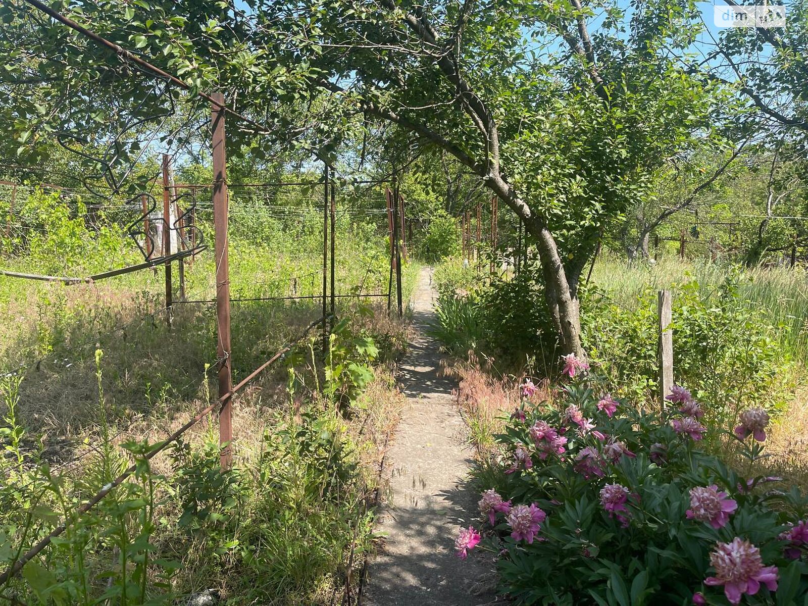 Земельна ділянка сільськогосподарського призначення в Горького, площа 6 соток фото 1