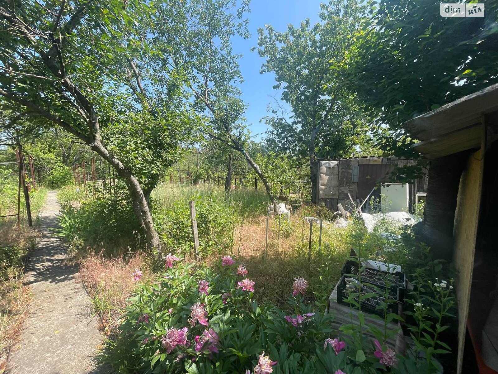 Земельна ділянка сільськогосподарського призначення в Горького, площа 6 соток фото 1