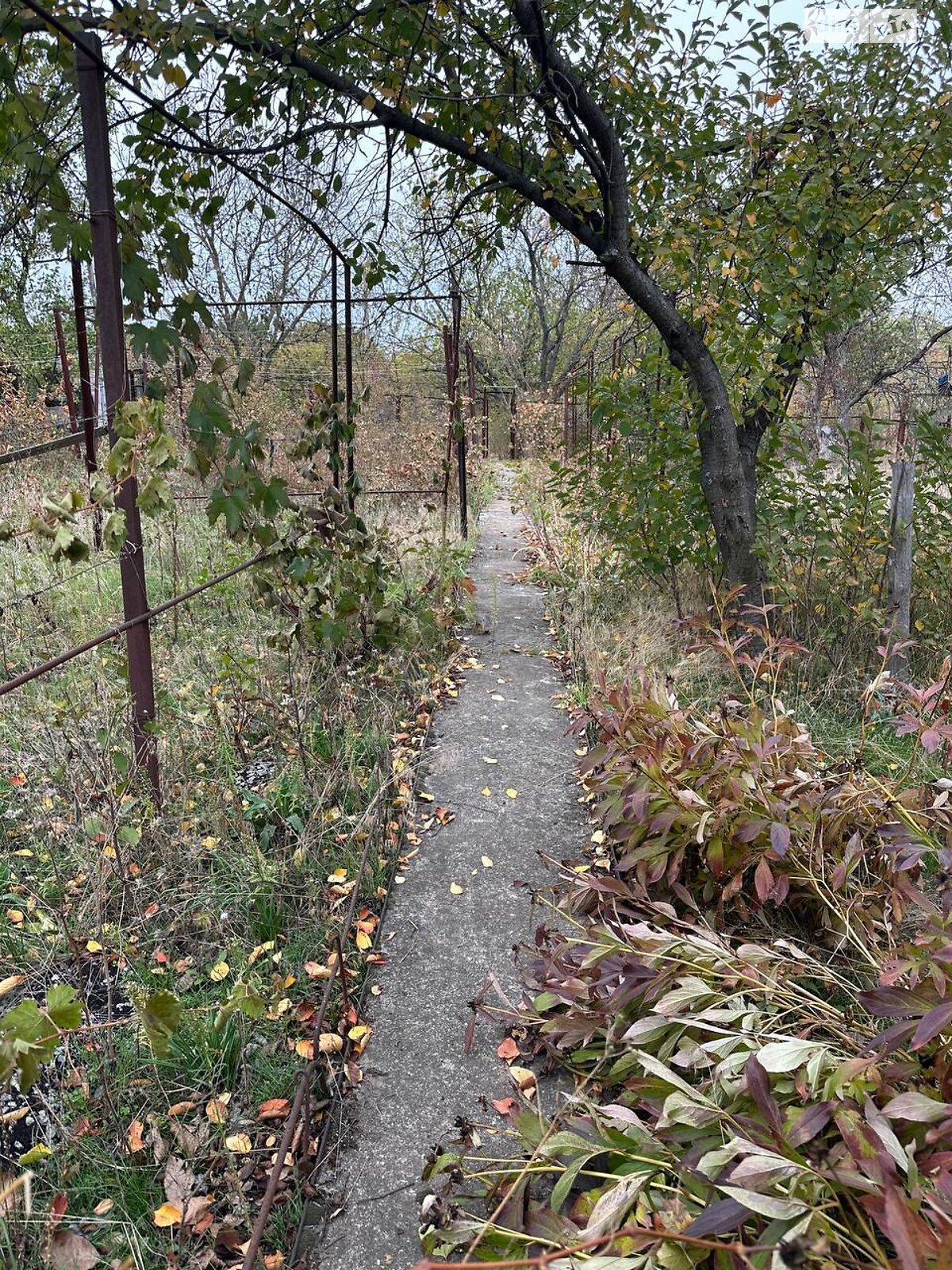 Земельна ділянка сільськогосподарського призначення в Горького, площа 6 соток фото 1