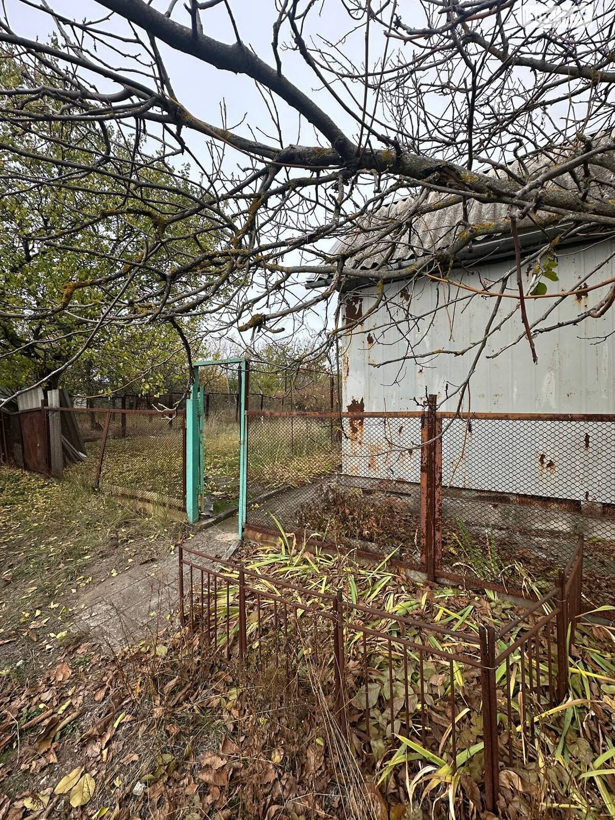 Земельна ділянка сільськогосподарського призначення в Горького, площа 6 соток фото 1