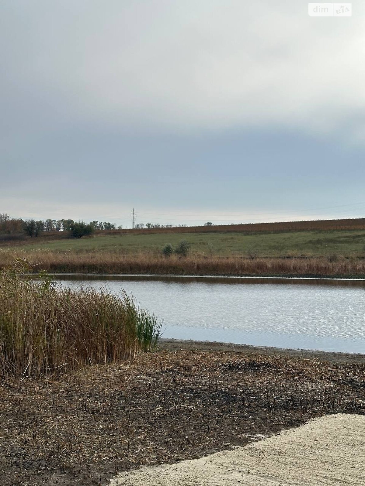 Земельна ділянка сільськогосподарського призначення в Горького, площа 6 соток фото 1