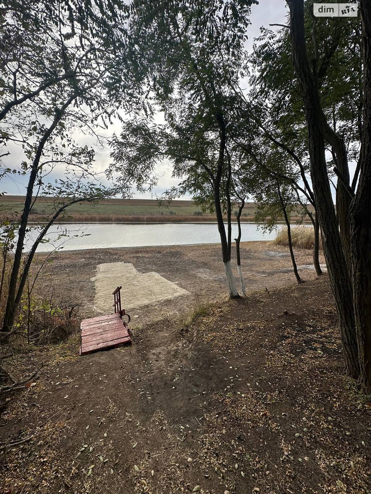 Земельна ділянка сільськогосподарського призначення в Горького, площа 6 соток фото 1