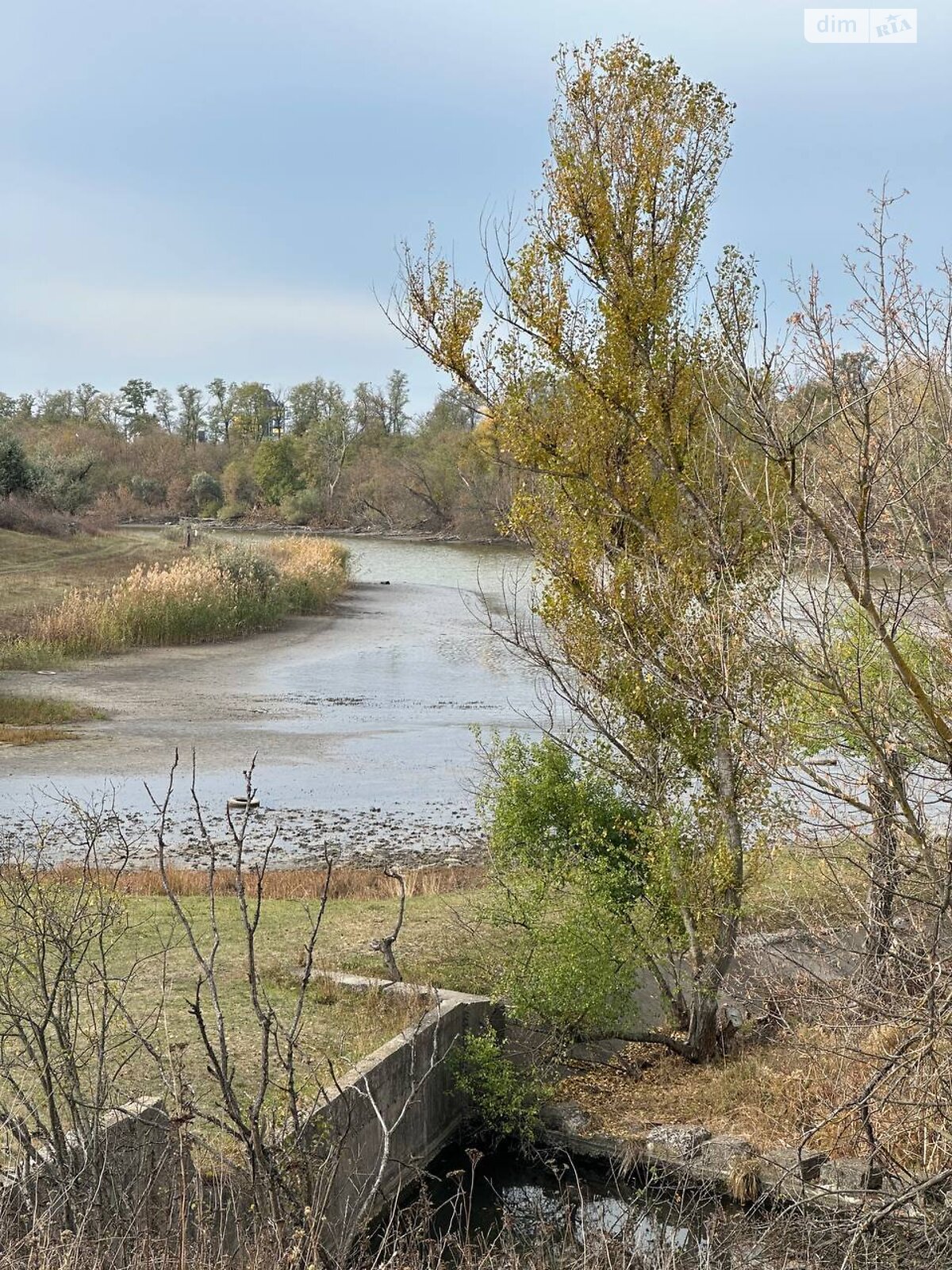 Земельна ділянка сільськогосподарського призначення в Горького, площа 6 соток фото 1
