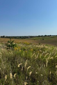 Земельный участок сельскохозяйственного назначения в Городище, площадь 9.27 сотки фото 2